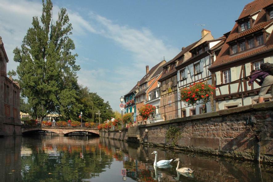 Au Buisson De Roses Apartment Colmar Bagian luar foto